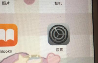 ipad查序列号,ipad硬盘序列号怎么查