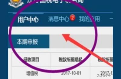 增值税一般纳税人网上申报流程是什么样的,一般纳税人网上申报流程