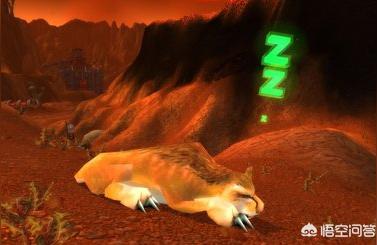 猎人宝宝大全带图,魔兽世界70猎人带什么宝宝