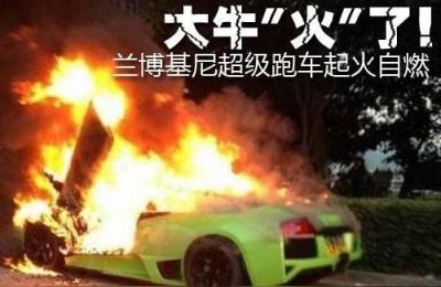 温州二手车市场,青田交通违章能在温州处理吗