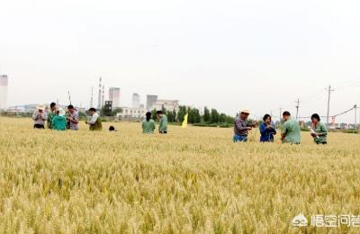 河南省农业厅,2021年河南省拖拉机补贴政策
