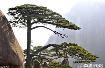 黄山到合肥高铁,京福高铁安徽段合肥到黄山从芜湖还是铜陵过江