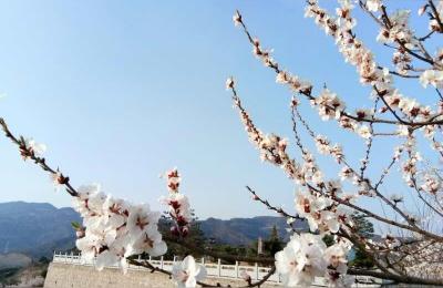 吉林长春坐火车到太原经过哪些地方,山西太原到吉林长春多少公里