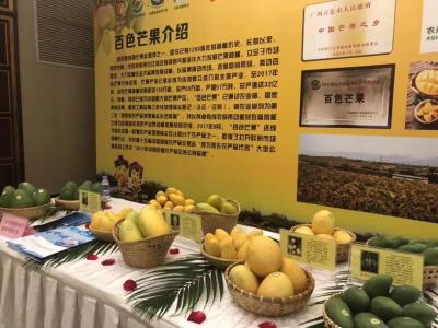 惠州市最大农贸市场在哪里,惠州江北海吉星农贸市场最新规划出炉
