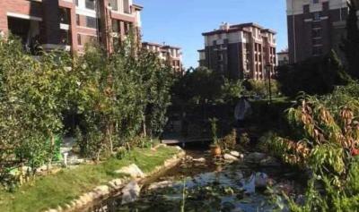 石岛属于哪个城市,请问有没有人知道滨州到威海市荣成石岛有多远的距离