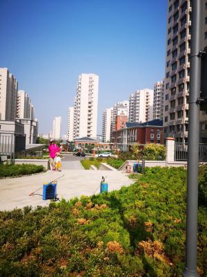 威海荣成房价,山东荣成房价