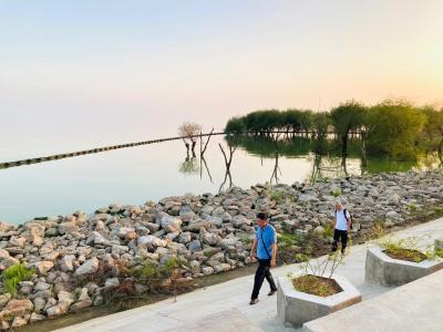 合肥湿地公园,合肥滨湖湿地公园有谁去过的呀
