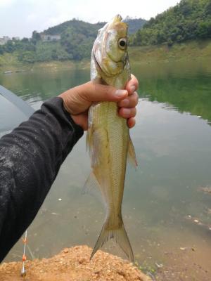 贵州万峰湖,兴义万峰湖码头是巴结镇好还是红榛好