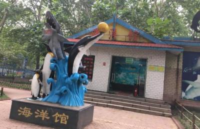 济南野生动物园门票,山东动物园哪里的比较好玩