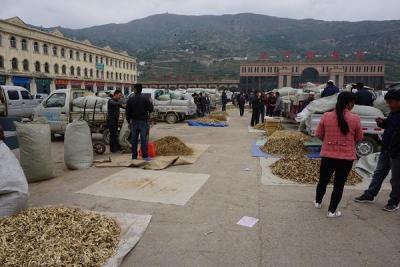 兰渝铁路最新消息,兰渝铁路最新路线图