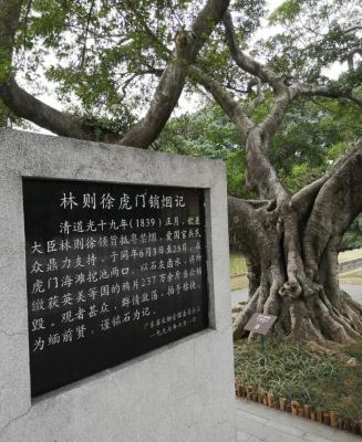 虎门销烟的意义,美国将毒品变成合法注射的根本目的是什么