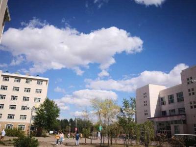 黑龙江人才信息网,谁知道黑龙江省牡丹江市的人才市场啊