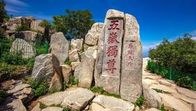 淄博到潍坊,2021职工医保补缴十年需要多少