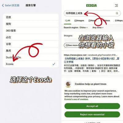 苹果手机看小说,苹果手机玩王者怎么不可以听小说
