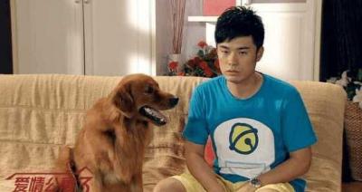 汽车之家后台,汽车之家车主价格为什么不能用了