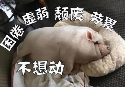 买电影票的app,票多多买票靠谱吗