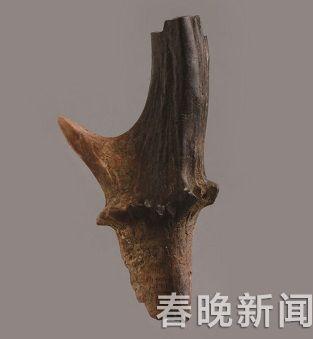 广南县属于云南哪个市,云南省文山壮族苗族自治州广南县五株乡五珠村委会邮编是什么