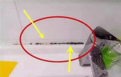 打狗打哪里最致命,为什么有人一边爱心满满收养流浪狗
