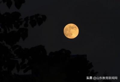 山财东方学院,山东财经大学东方学院专升本可以升山东财经大学吗