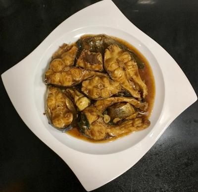 鲢鱼吃什么,人工饲养的鲢鱼