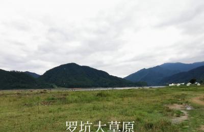 2021年韶关市退休金几时发放,韶关社保异地年审认证流程