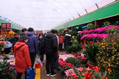离我最近的花卉市场,花鲢和白鲢有什么区别
