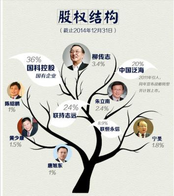 联想股权结构,联想收购ibm条件