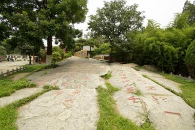北京到徐州高铁经过的站点是哪里区号,全国各地区号大全