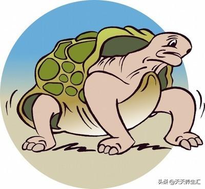 蝙蝠的寿命有多长,冬眠的奥秘说明对象是什么