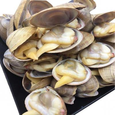 动物种类名称大全,怎么区分