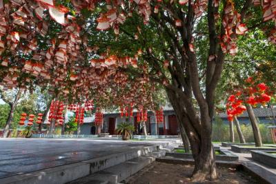 洛阳有哪些景点,洛阳必去六个景区