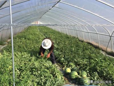 张北县地图,从山东东营自驾游到蒙古