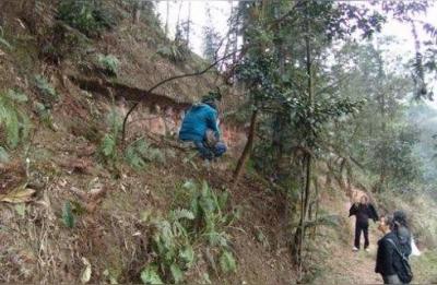 鸡冠山风景区,大连有哪些免费的又值得一去景点