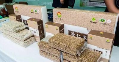 兴仁淘宝客服电话多少号码,做公交去南通政务中心到哪里下车