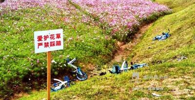 衢州美食淘宝店铺需要多少押金,什么是农民工工资保证金