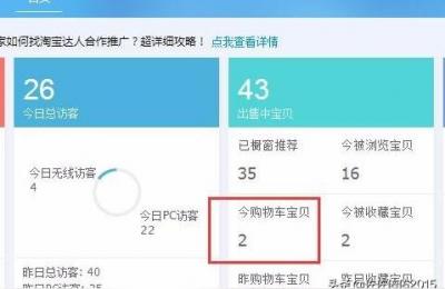 淘宝卖家查号插件在哪里,做为淘宝卖家如何查看自己店铺的实时数据