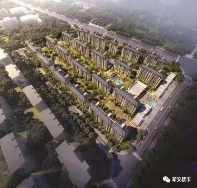 新店花园陶冲湖小学怎么样,合肥孩子上小学