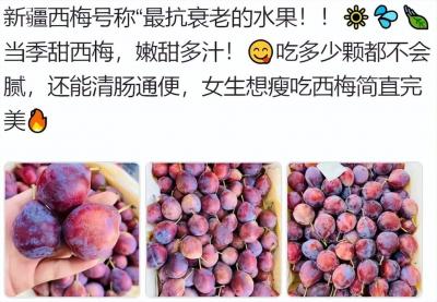水果店开业群宣传文案搞笑,能在哪里买到正宗的赣南脐橙