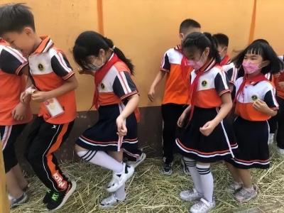 淘宝直通车收割是什么意思,每天收益能达到几百