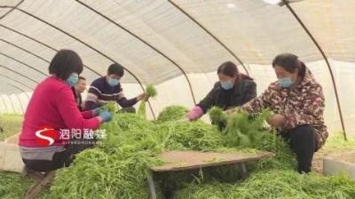 胖哥无货源原名,让你最感动的古代爱情故事是哪一段