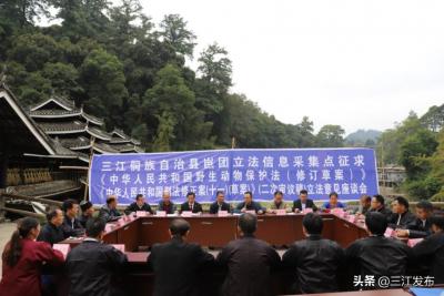怎么看别人是否开了直通车,拼多多top前十哪里看