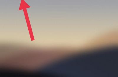 淘宝农场种什么果树好卖,蚂蚁森林果树哪里来