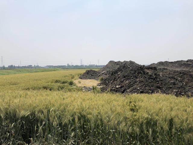 泰兴有什么好玩的地方,南京财经大学在泰兴建立校区